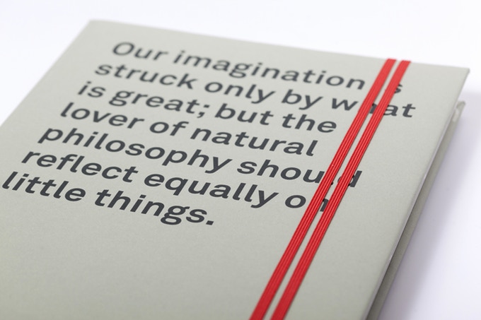 Illustrating Nature. The World Through the Eyes of Alexander von Humboldt - Image 3