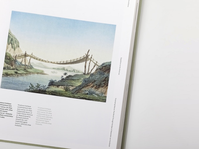 Illustrating Nature. The World Through the Eyes of Alexander von Humboldt - Image 10