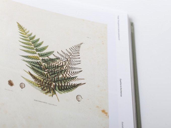 Illustrating Nature. The World Through the Eyes of Alexander von Humboldt - Image 12
