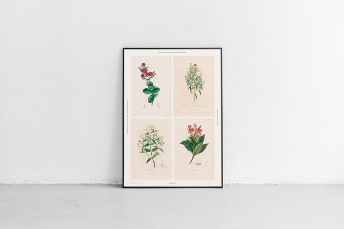 4 Humboldt posters (limited)