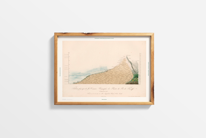 4 Humboldt posters (limited) - Image 3