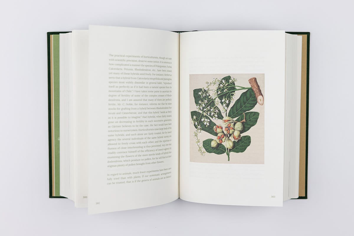 On the Origin of Species - Image 3