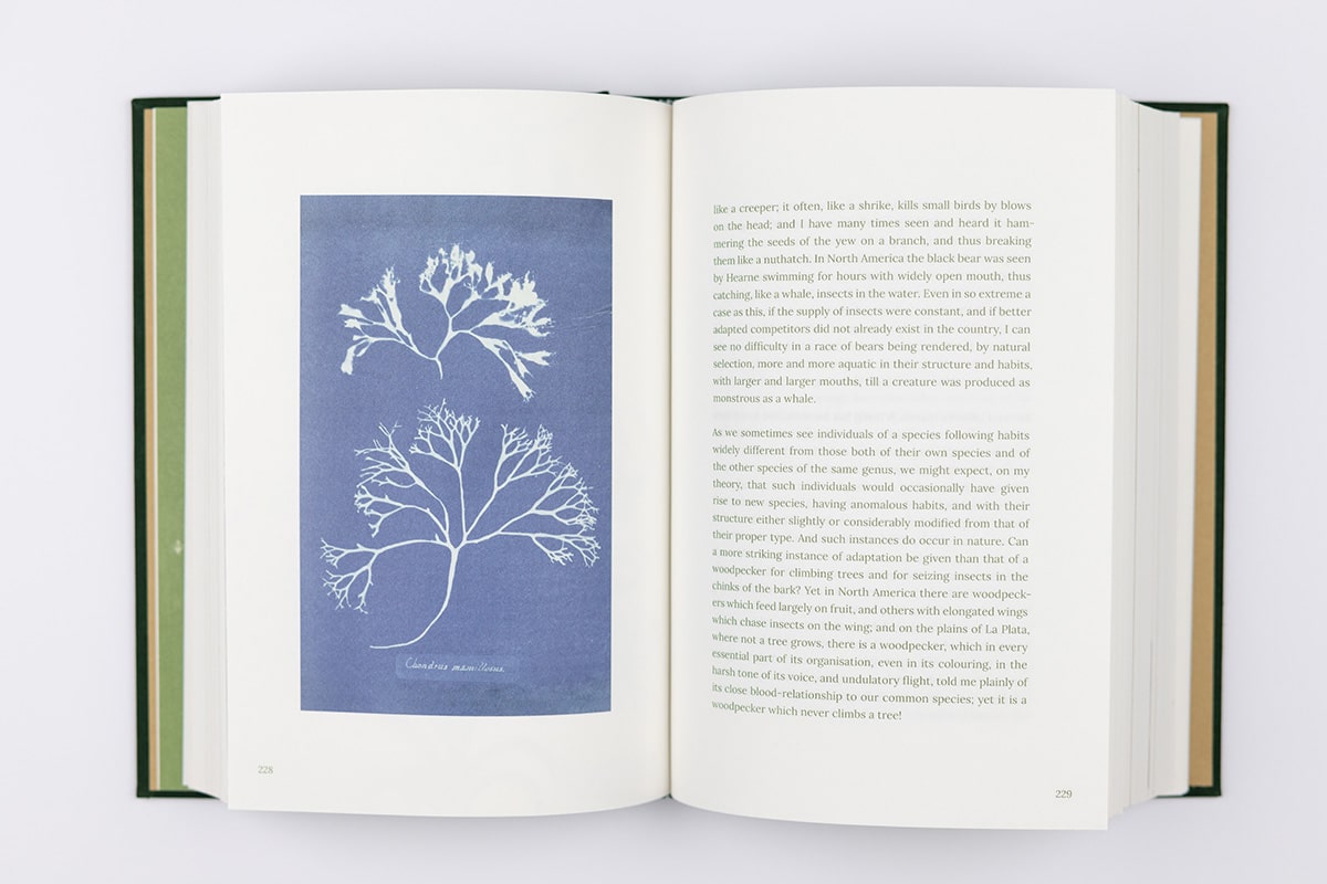 On the Origin of Species - Image 5