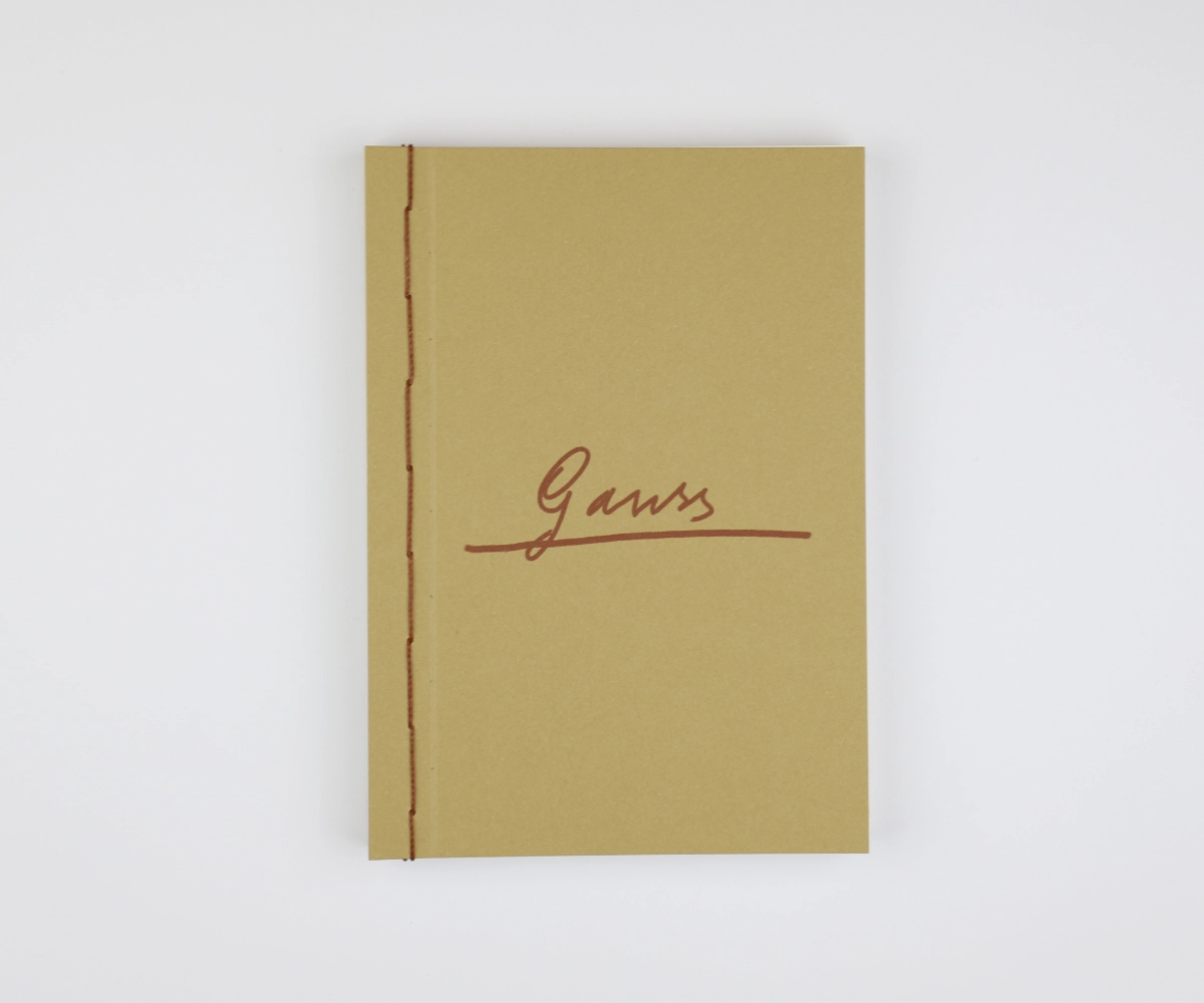 Gauss's Handwritten Notebooks