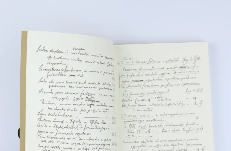 Gauss's Handwritten Notebooks