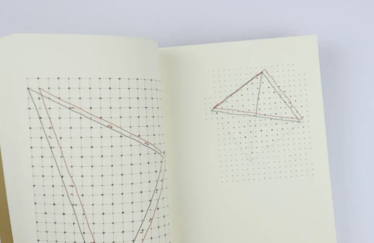 Gauss's Handwritten Notebooks