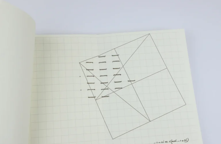 Gauss's Handwritten Notebooks