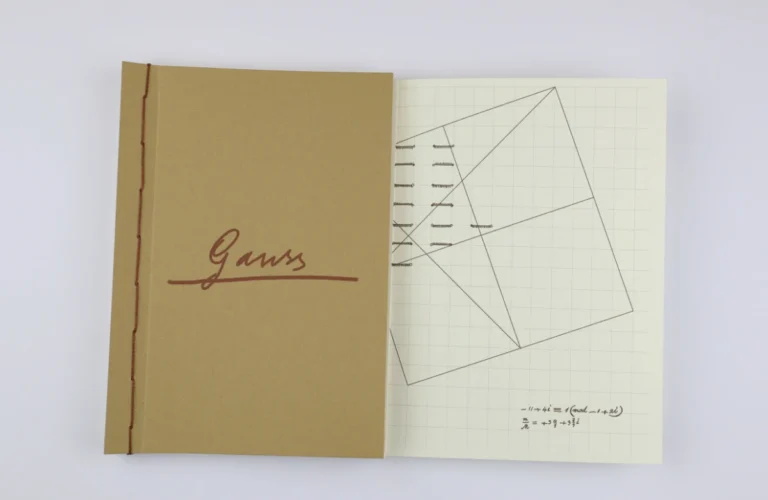 Gauss's Handwritten Notebooks